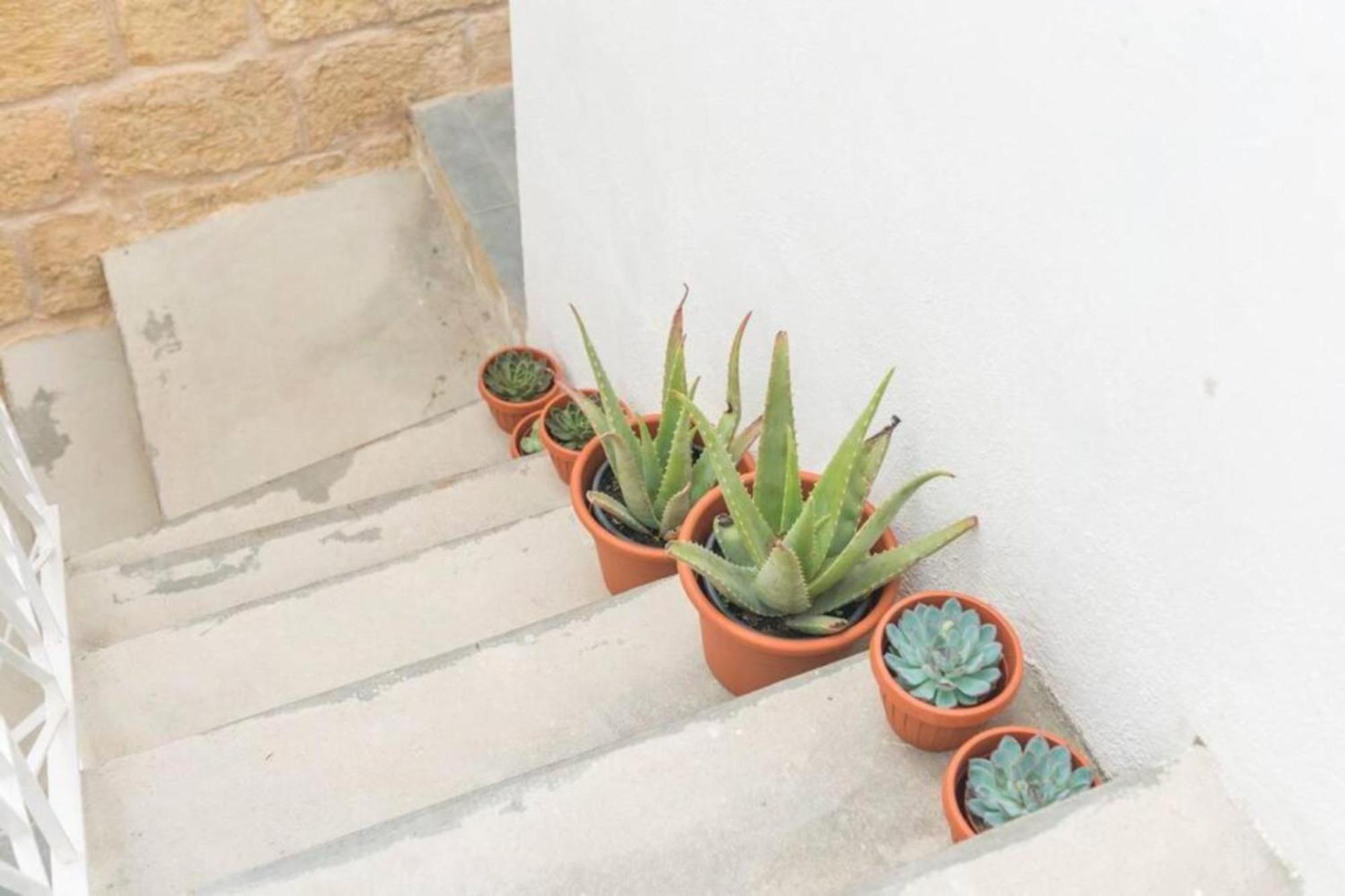 Authentic Gf Apartment With Terrace At The 3 Cities Marina Cospicua Екстер'єр фото